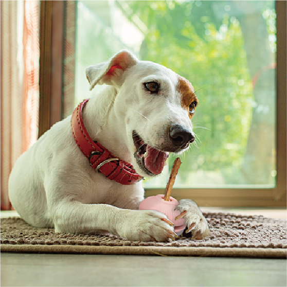 camucoトリーツホルダー